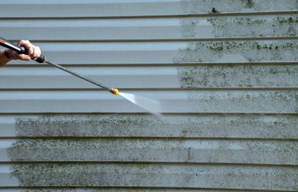 Best Mold Testing  in Vernonia, OR