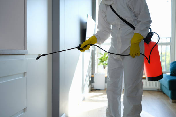 Best Mold Testing  in Vernonia, OR
