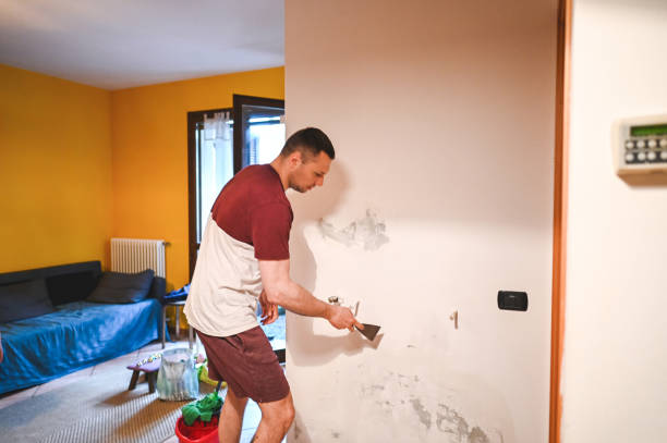 Best Same-Day Mold Removal  in Vernonia, OR