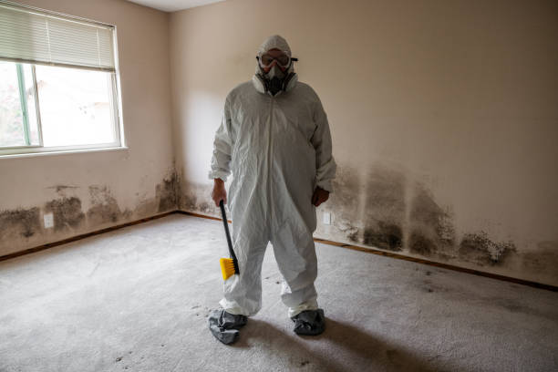 Trusted Vernonia, OR Mold Removal Experts